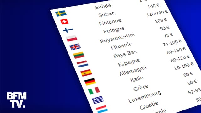 INFOGRAPHIE. Tests PCR et antigéniques payants: combien coûtent-ils dans les autres pays européens ?