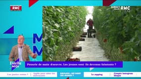 Pénurie de main d'œuvre : l'énorme coup de gueule d'un auditeur sur RMC
