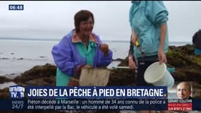 Une semaine en...: Joies de la pêche à pied en Bretagne