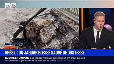 Le break du 10 octobre