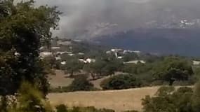 Corse-du-Sud : incendie de forêt en cours à Ajaccio - Témoins BFMTV