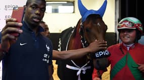 Paul Pogba à l'hippodrome de Vincennes