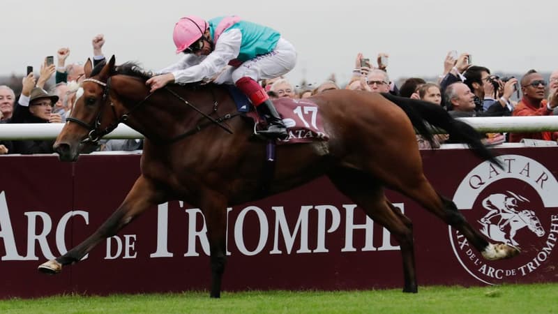Enable a remporté à deux reprises le Qatar Prix de l'Arc de Triompe