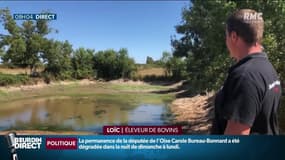 "On va être obligés de certainement vendre des bêtes pour pallier le manque de fourrage", les agriculteurs souffre particulièrement de la sécheresse