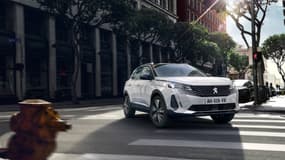 Une Peugeot 3008 II, l'un des véhicules les plus volés en France