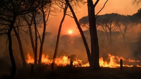 Incendie près de Gonfaron, dans le Var, le 17 août 2021.