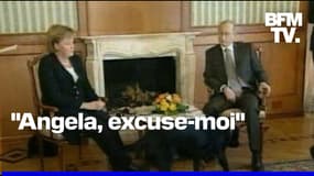 "Angela, excuse-moi": 17 ans après, Poutine revient sur le moment où il a effrayé Merkel avec son chien