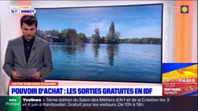 Pouvoir d'achat: des sorties gratuites en Île-de-France