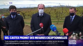 Gel: Jean Castex promet "des enveloppes exceptionnelles" pour aider les agriculteurs