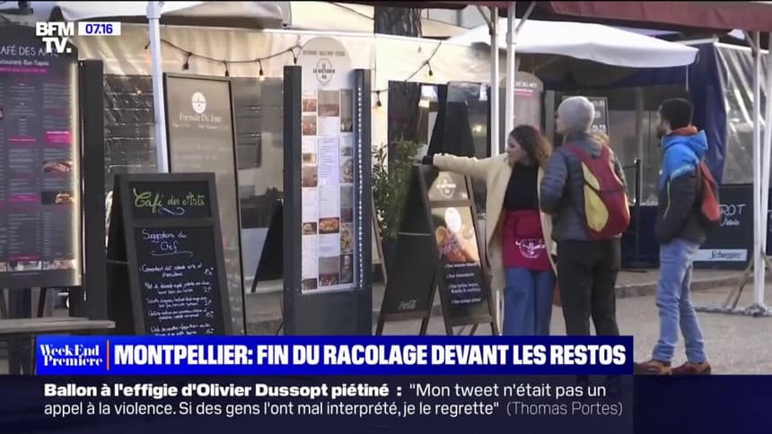 Montpellier : Les Canards Électeurs Sont Prêts pour les Élections