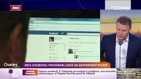 Le groupe Facebook/Instagram va expérimenter la certification payante