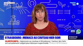 Strasbourg: un homme interpellé après avoir menacé un couple avec un couteau