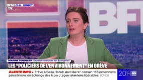 Agents de la biodiversité en grève: "Il fait un sale temps pour l'écologie", estime Marine Tondelier