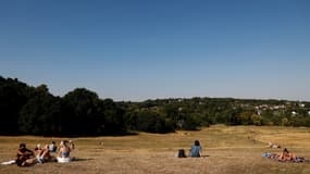 Des gens assis dans l'herbe désséchée à Hampstead Heath park en pleine sécheresse, à Londres, le 13 août 2022.