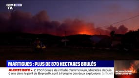 Plus de 870 hectares ravagés par un incendie à Martigues