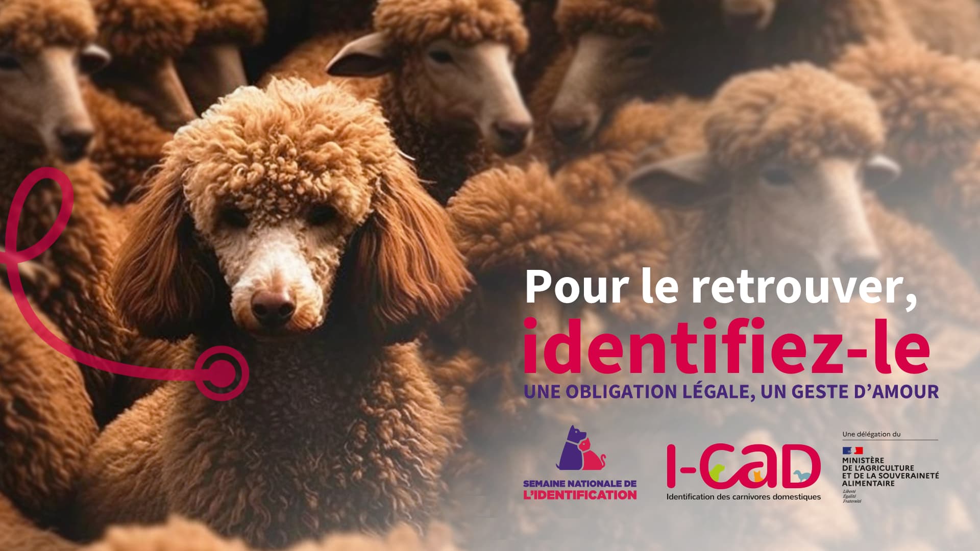 Campagne de communication de l'I-CAD pour la cinquième édition de la semaine nationale de l'identification Campagne de communication de l'I-CAD pour la cinquième édition de la semaine nationale de l'identification