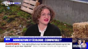 Marie Toussaint (députée européenne EELV): "Il y a un danger dans lequel certains essayent de nous entraîner, qui consiste à opposer les agriculteurs et les écologistes" 