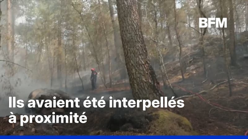 Incendies: deux suspects ont reconnu leur implication dans les départs de feu à Fontainebleau