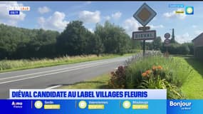 Diéval près de Béthune candidate au label des villages fleuris