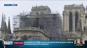 Le projet de loi qui prévoit l’accélération du chantier de Notre-Dame fait débat