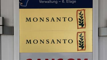 La Commission européenne va ouvrir une enquête approfondie sur le rachat de Monsanto par Bayer.