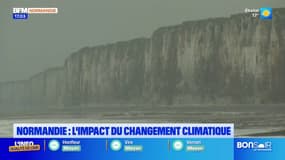 Normandie: l'impact du changement climatique