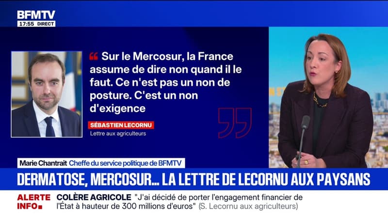 Mercosur, dermatose ... Sébastien Lecornu a adressé une lettre aux agriculteurs