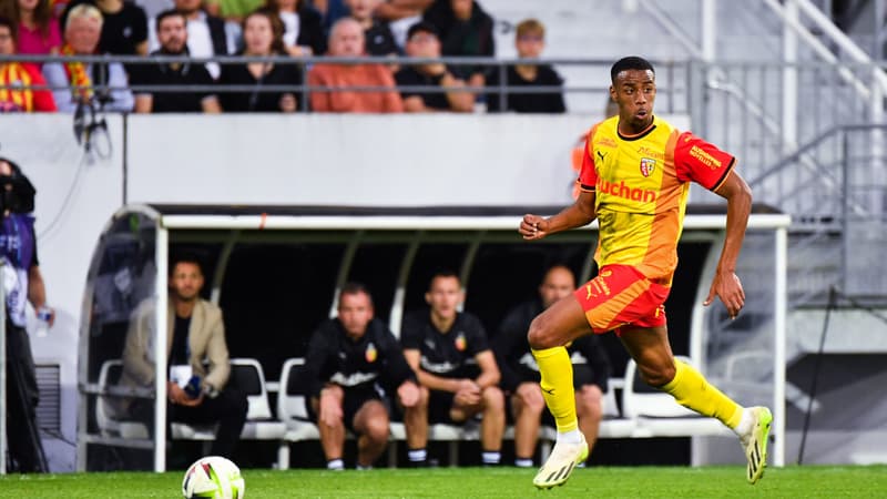 M. Guilavogui