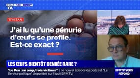 Une pénurie d'œufs se profile-t-elle ? BFMTV répond à vos questions