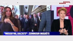 Carnet politique: "Misogyne, raciste", Zemmour inquiète - 23/11