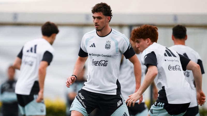 Saison terminée et Coupe du monde envolée: terrible coup dur confirmé pour le Strasbourgeois Panichelli