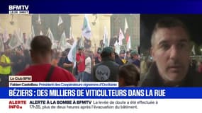 Crise viticole: "On a le droit de vivre de notre métier", déclare Fabien Castelbou, président des Coopérateurs vignerons d'Occitanie