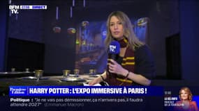  L'exposition immersive Harry Potter ouvre ses portes ce vendredi à Paris 