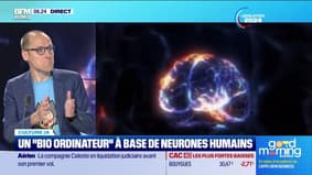 Culture IA : Un "bio ordinateur" à base de neurones humains, par Anthony Morel - 27/06