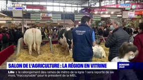 Salon de l'agriculture: les agriculteurs et éleveurs des Hauts-de-France fièrement exposés 