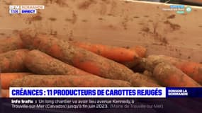 Créances: onze producteurs de carottes rejugés