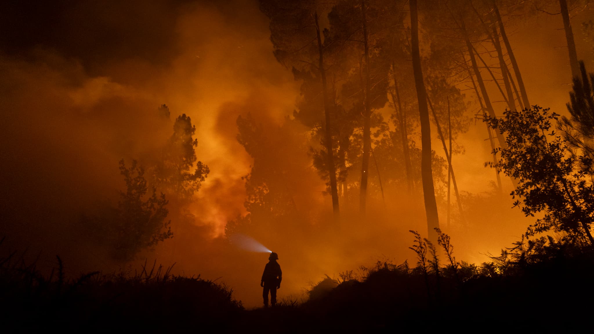 30.000 HECTARES SUPPLÉMENTAIRES BRÛLÉS EN 24 HEURES: LES INCENDIES CONTINUENT DE RAVAGER L'ESPAGNE