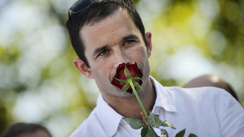 Benoît Hamon sent une rose, le symbole du PS. En s'opposant à la politique du gouvernement, il semble humer les aspirations de sa famille politique