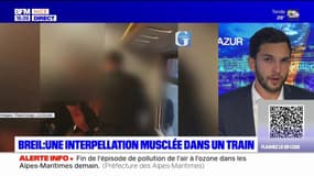 Alpes-Maritimes: l'intervention de gendarmes dans un train à Breil-sur-Roya suscite l'émoi
