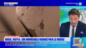 BFM Nice et vous : un immeuble rongé par le moisi à Breil-sur-Roya, une résidente est à bout