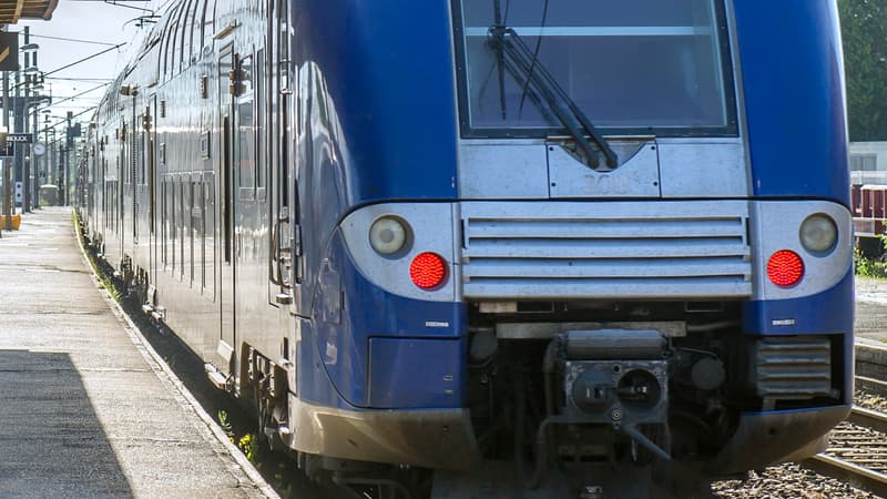 Un train a percuté une personne dans l'Aude ce vendredi. (Photo d'illustration)