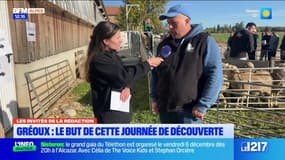 Journée découverte à Gréoux: l'objectif "promouvoir le métier d'éleveur ovin", selon Julien Giraud