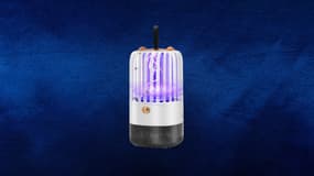 Optez pour une lampe anti-moustique et piège à mouches efficace

