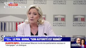Marine Le Pen: "Emmanuel Macron insulte tous les Français"