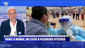 Dans le monde, un Covid à plusieurs vitesses - 01/08