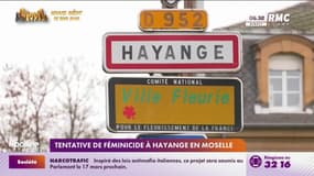 Tentative de féminicide en Moselle: le suspect est toujours en fuite 