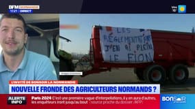 Normandie: le regard d'un agriculteur sur l'accord UE-Mercosur