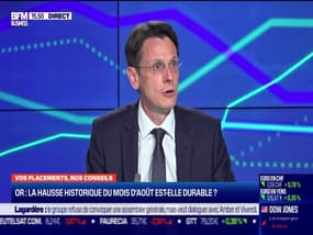 François Monier (Investir) : la hausse historique du prix de l'or du mois d'août est-elle durable ? - 01/09