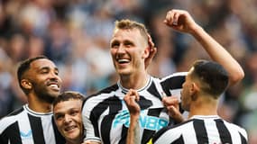 Joie Newcastle
