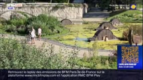 Canicule: comment Paris tente de rafraîchir ses habitants